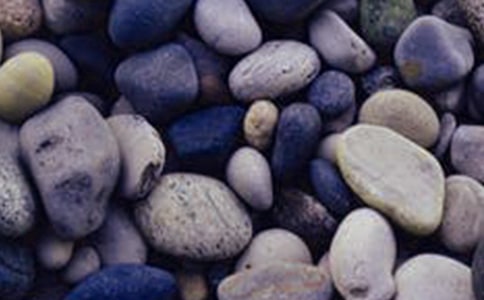 我是一顆鵝卵石作文(13篇)