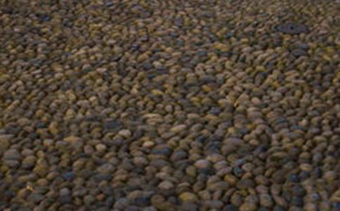 ����һ�w�Z��ʯ����(�R��14ƪ)