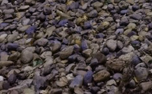 ȥ���Lһ�K�Z��ʯ����