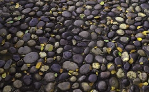 我是一顆鵝卵石作文【集合14篇】