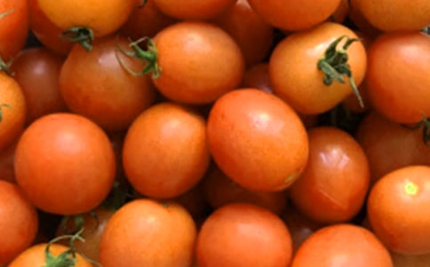 ���ѳ�������(�ϼ�15ƪ)