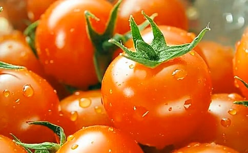 番茄小學生作文