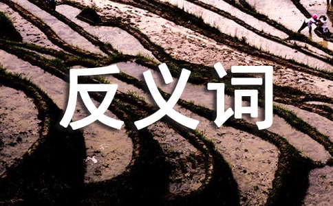 有反義詞的句子