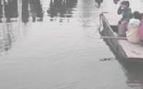 �ƺ��������ĺϼ���2ƪ��