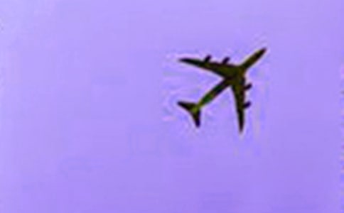 【推薦】第一次坐飛機(jī)作文