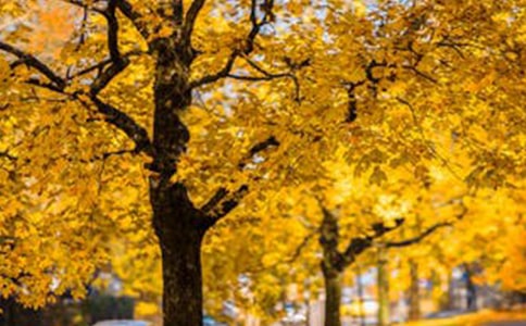 ��(j��ng)�������L(f��ng)���ľ���6�l