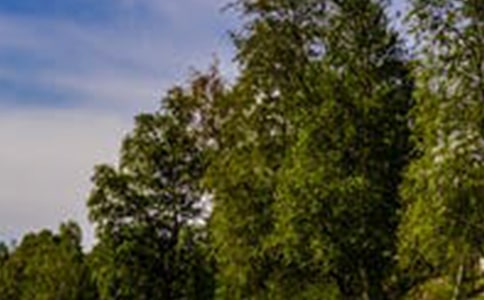 經(jīng)典形容風(fēng)景的句子