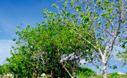 2025�������L(f��ng)���ľ���28��