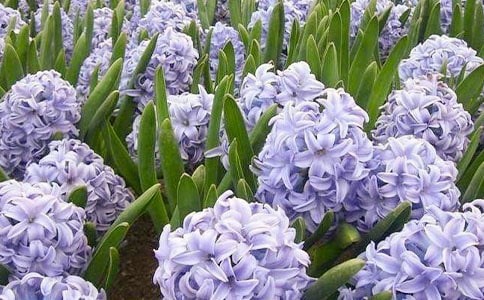 �Ҽҵ��L(f��ng)��������