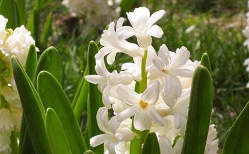 �L(f��ng)���ӵ�����