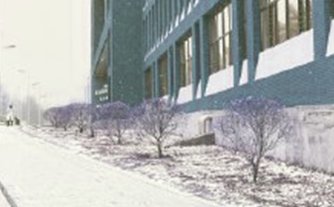 風(fēng)雪的優(yōu)秀作文4篇