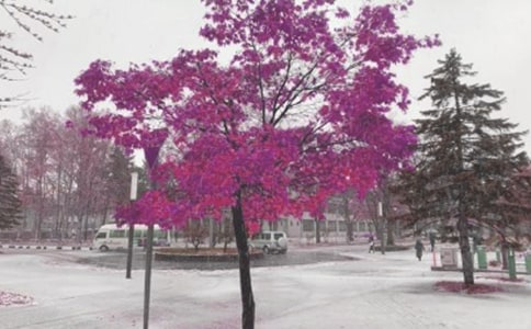 《林教頭風(fēng)雪山神廟》創(chuàng)新