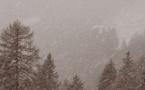 風雪的優(yōu)秀作文