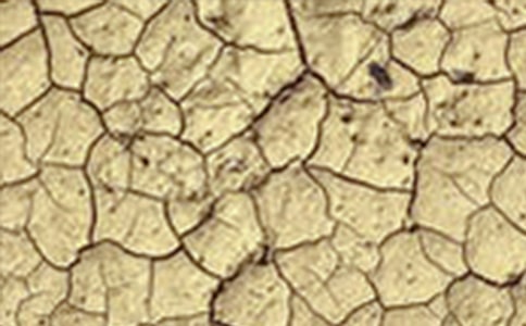 �O��ս�ȸɺ�