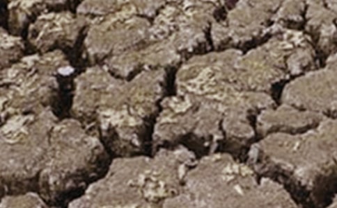 �����ֹ��Į���͸ɺ��՘�(bi��o)�Z(y��),���λ�Į����������(bi��o)�Z(y��)