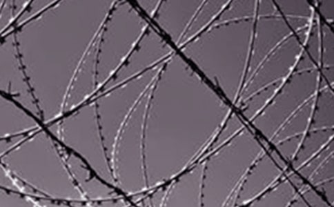 ��F�S��(sh��)��(x��)��(b��o)��9ƪ