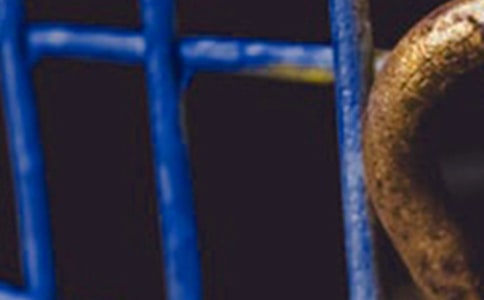 ��F�S�������Y(ji��)[��(y��u)�x15ƪ]