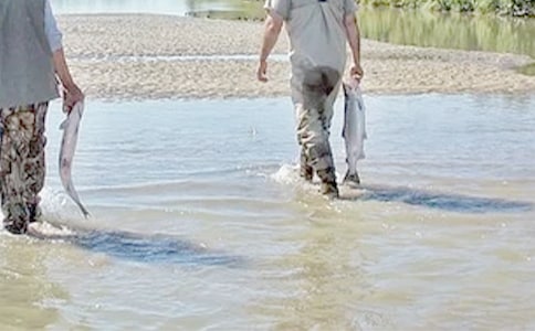 �ҵĺø炃��(y��u)������