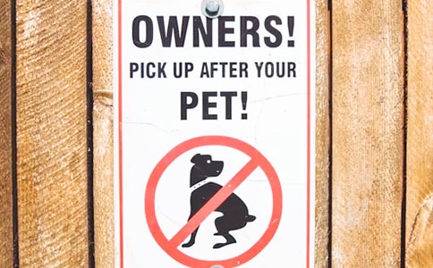 試析“預增”公告中的投資機會