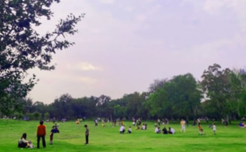 公園游記作文經(jīng)典【5篇】