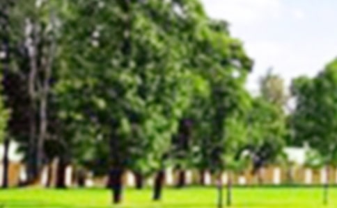 �ųǹ��@����