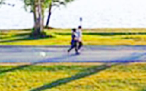 小學(xué)生公園作文怎么寫