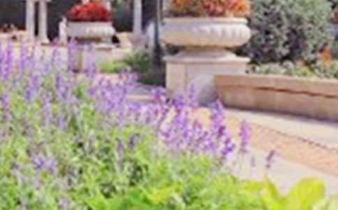 游公園優(yōu)秀作文13篇