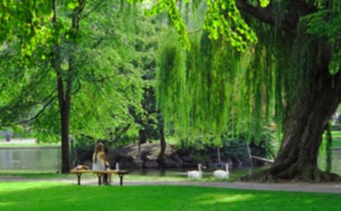 ȥ���@�����ӛ���\20ƪ