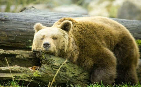 ���ܷN������