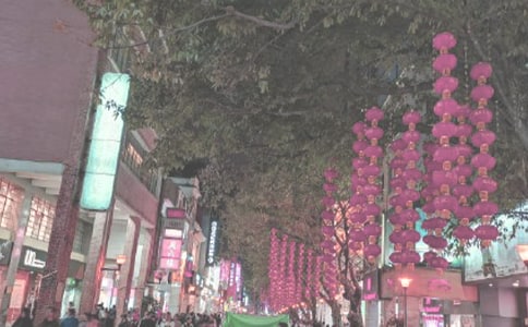 �V�����{����