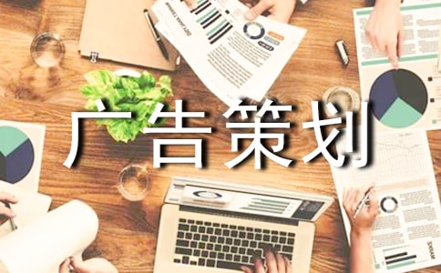 網(wǎng)絡(luò)廣告策劃書(shū)格式