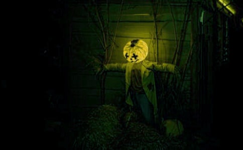 ���J��������