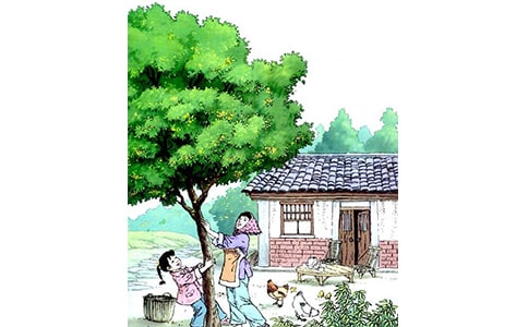 ���꼉(j��)�σ�(c��)�Z(y��)�Ľ̰��������꡷