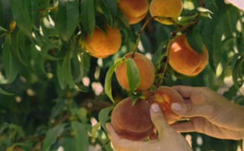 ���^���@