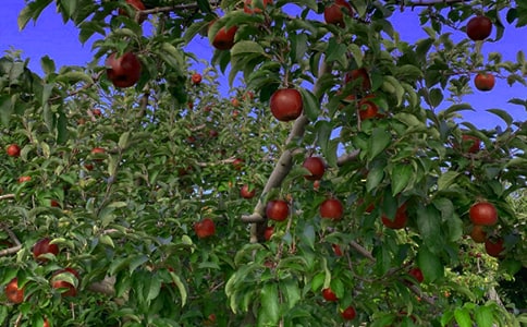 (��)���@��(y��u)������