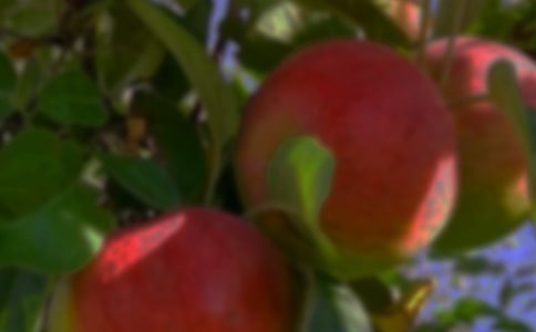 ��W(xu��)�������r(n��ng)����@��(sh��)�`��(b��o)��