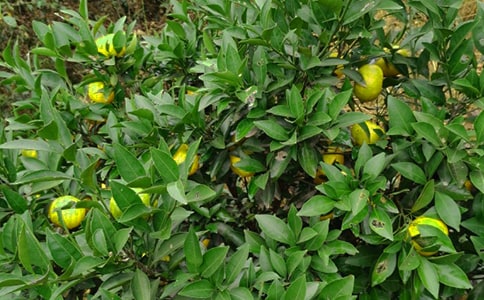 ���ٴ�W(xu��)���r(n��ng)����@���(hu��)��(sh��)�`��(b��o)��