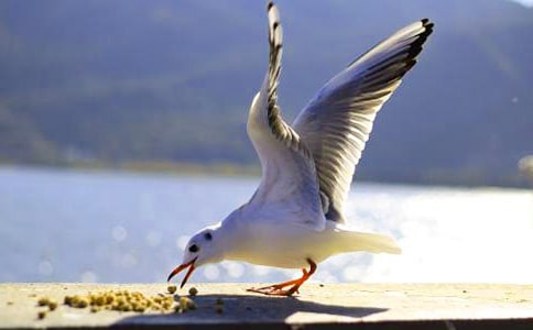 ���t��(y��u)������