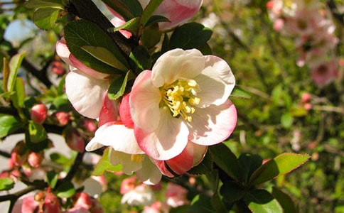 �Ґ���(ji��)�������ģ����x35ƪ��