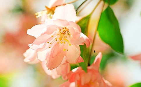 ���ğo������