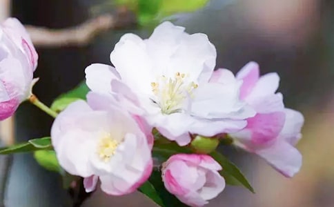 ���P(gu��n)���Ę�(sh��)�ă�(y��u)�����ģ�ͨ��17ƪ��