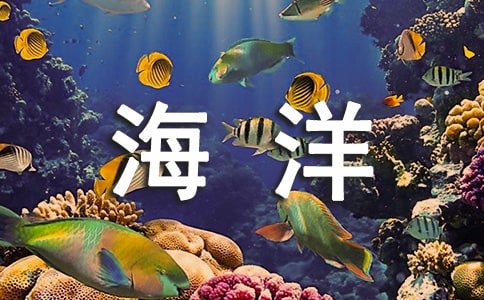 海洋經(jīng)濟(jì)發(fā)展與海洋環(huán)境保護(hù)問題
