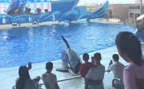 ��ۺ��󹫈@С�W(xu��)����