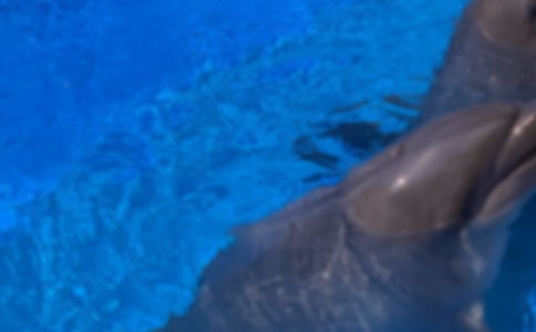 ���������15ƪ