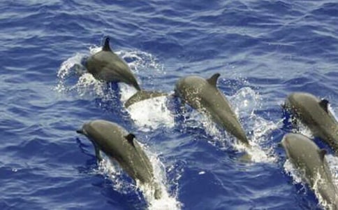 ������(y��u)������