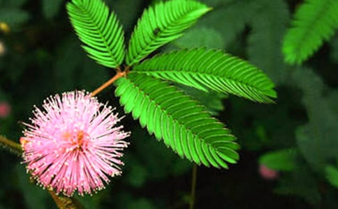 [��]���߲�����15ƪ