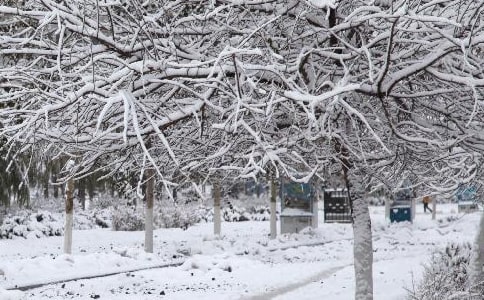 ������׃�����ģ����x15ƪ��