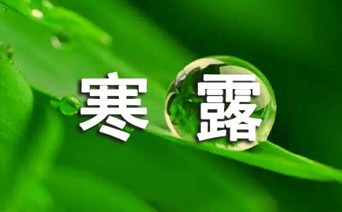 寒露節(jié)氣句子