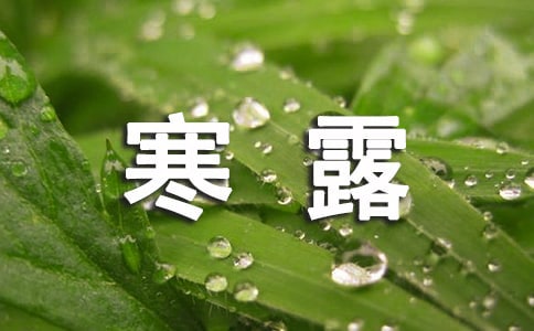 寒露節(jié)氣語(yǔ)錄260句