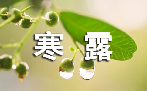 寒露節(jié)氣語錄